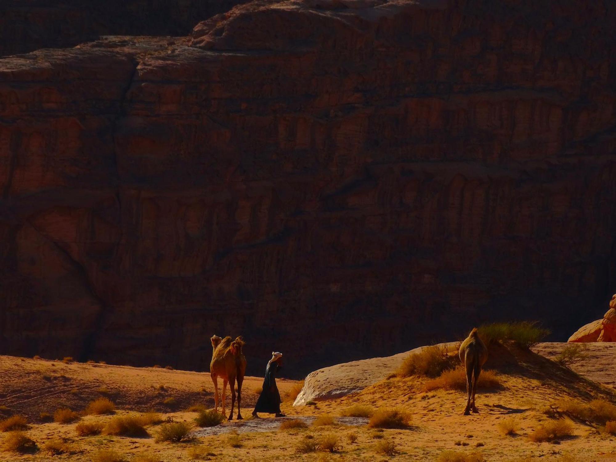 Wadi Rum View Camp ภายนอก รูปภาพ